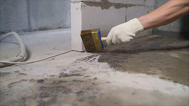 SJ Waterproofing Pros Waterproofing coverage map for Dadeville, AL and surrounding area